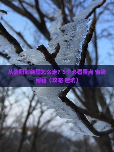 洛阳去新疆攻略