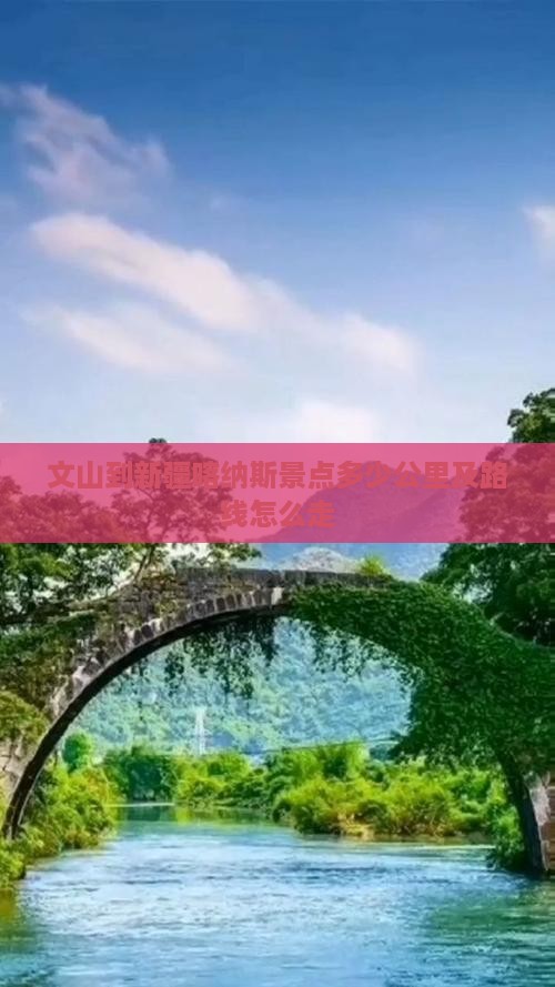 文山到新疆喀纳斯景点