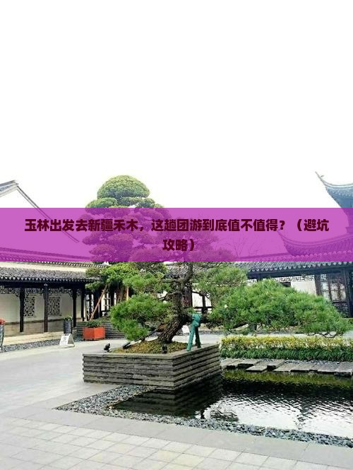 玉林去新疆禾木团体旅游