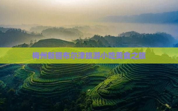 梅州去新疆布尔津旅游小吃