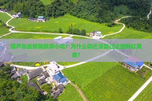 葫芦岛去新疆旅游小吃