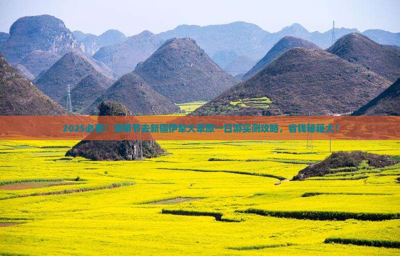 清明节去新疆伊犁大草原一日