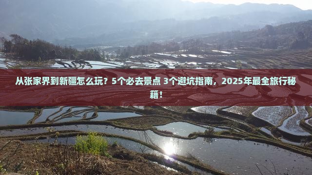 张家界去新疆哪里玩