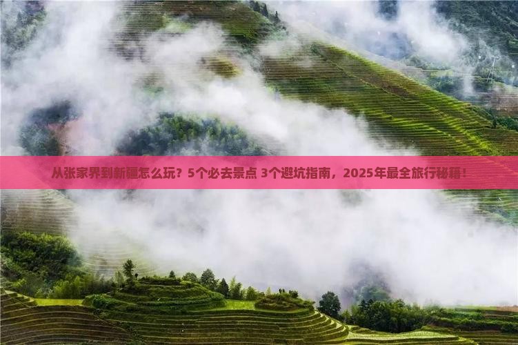张家界去新疆哪里玩