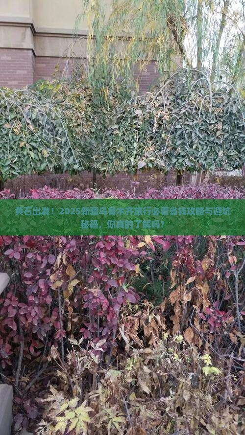 黄石到新疆乌鲁木齐攻略