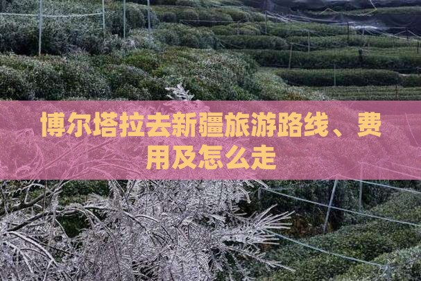 博尔塔拉去新疆旅游