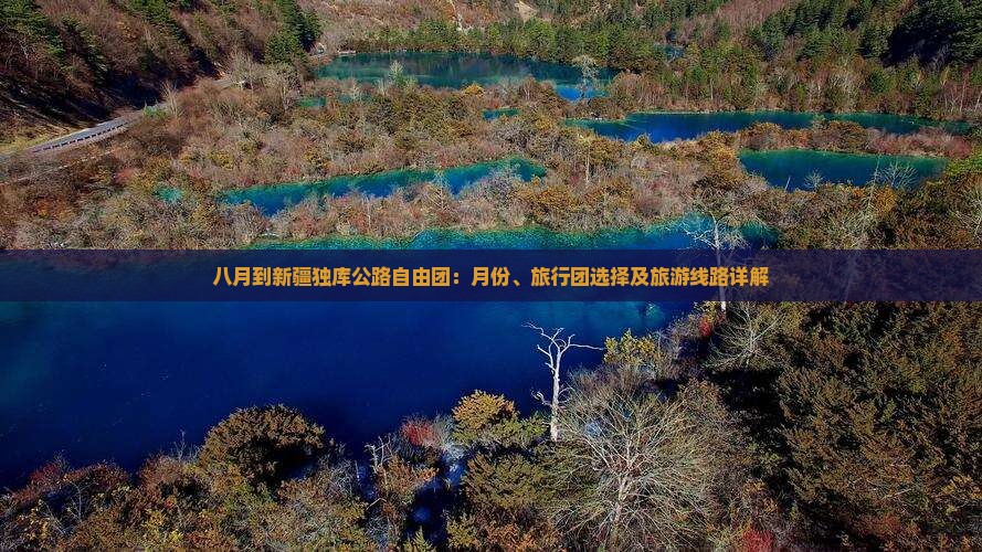 八月到新疆独库公路自由团
