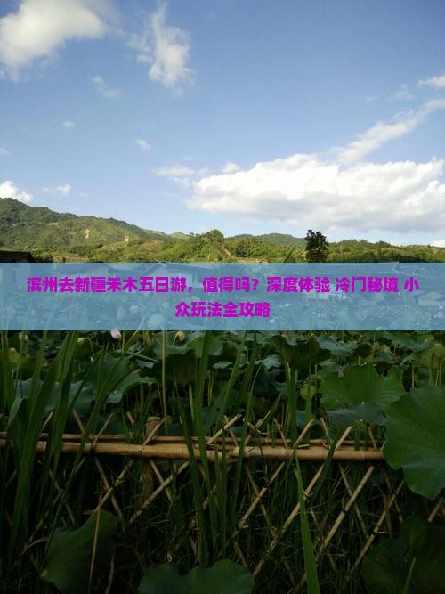 滨州去新疆禾木五日游