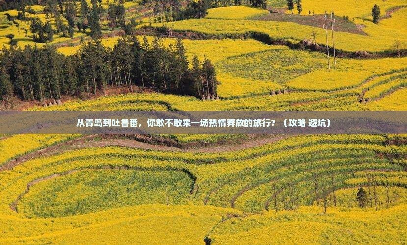 青岛去新疆吐鲁番旅游