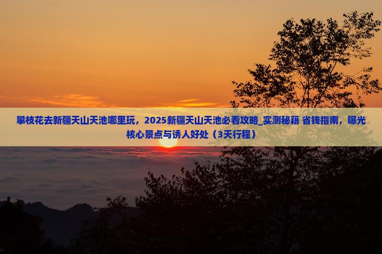 攀枝花去新疆天山天池哪里玩