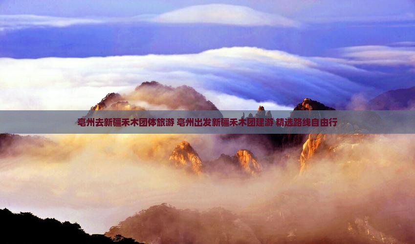 亳州去新疆禾木团体旅游
