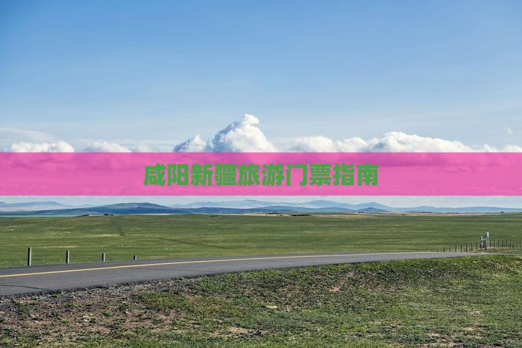 咸阳去新疆门票