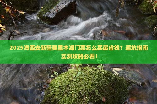 海西去新疆赛里木湖门票