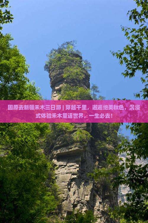 固原去新疆禾木三日游