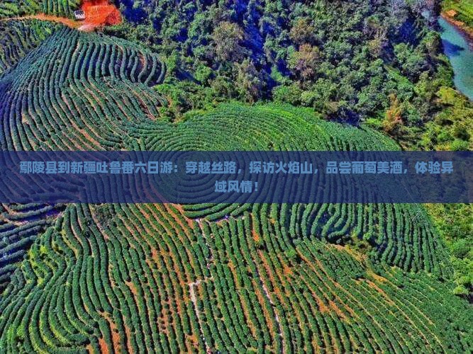 鄢陵县到新疆吐鲁番六日游