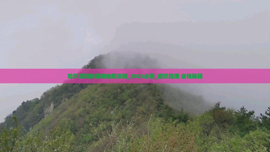 哈尔滨到新疆喀纳斯攻略