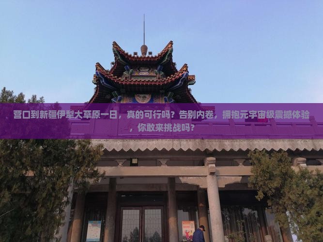 营口到新疆伊犁大草原一日