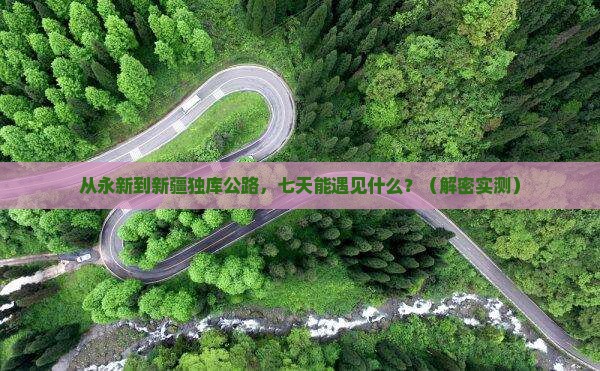 永新到新疆独库公路七日游