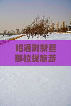 昭通到新疆那拉提旅游小吃