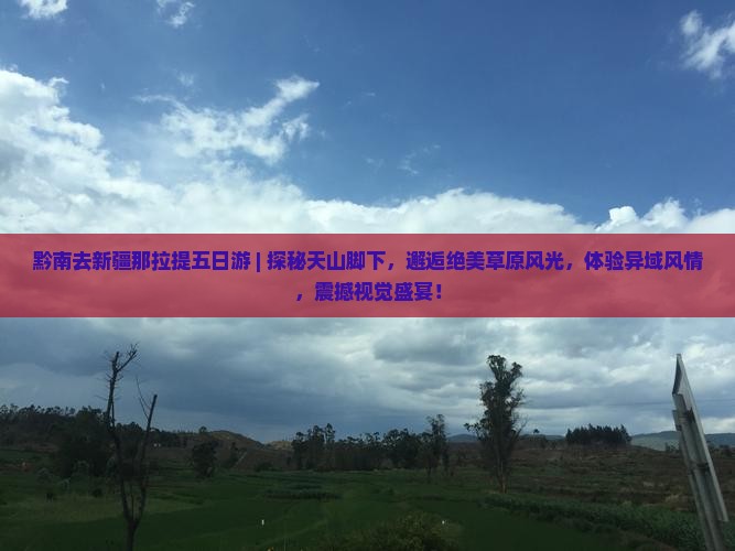 黔南去新疆那拉提五日游 黔南去新疆那拉提五日游