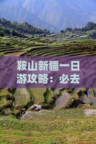 鞍山去新疆一日