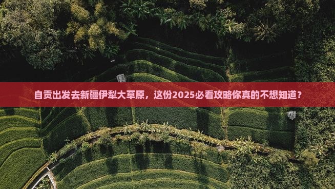 自贡去新疆伊犁大草原团体旅游