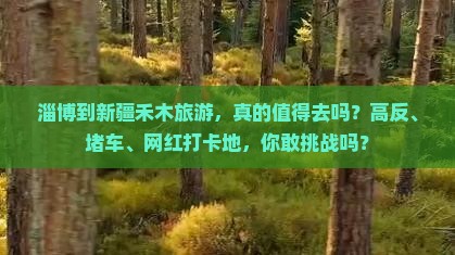 淄博到新疆禾木旅游