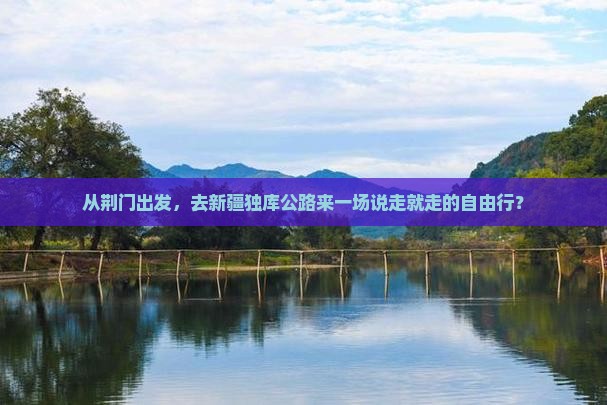 荆门去新疆独库公路自由团