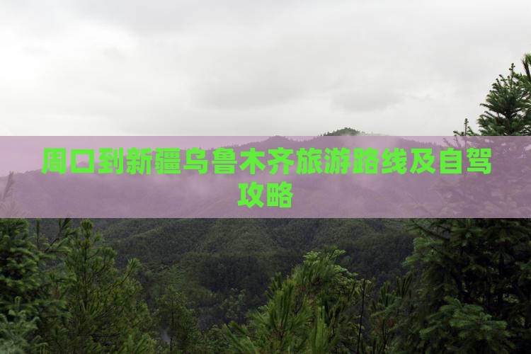 周口到新疆乌鲁木齐旅游