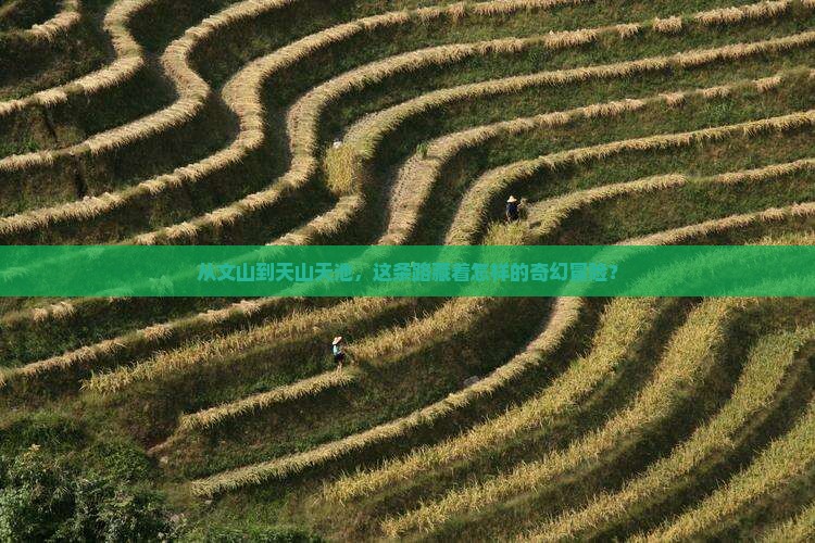 文山到新疆天山天池景点