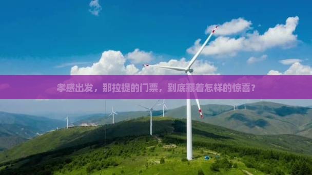 孝感到新疆那拉提门票