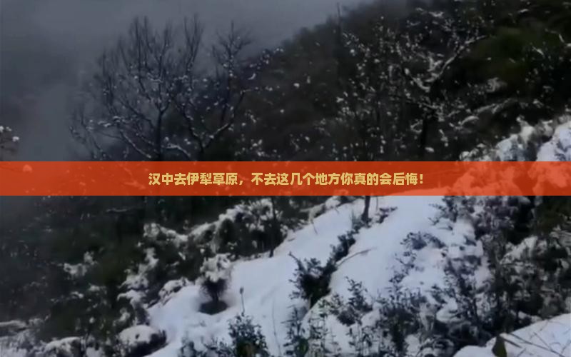 汉中去新疆伊犁大草原必去地 汉中去新疆伊犁大草原必去地