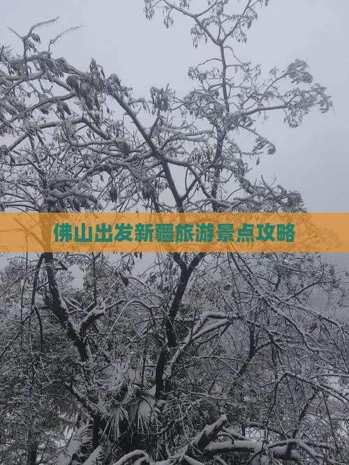 佛山到新疆乌鲁木齐哪里玩