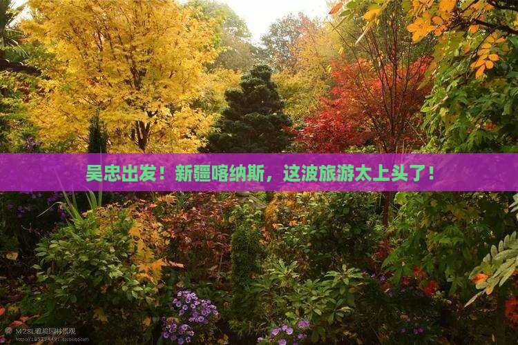 吴忠到新疆喀纳斯旅游