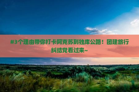 阿克苏去新疆独库公路团体旅游