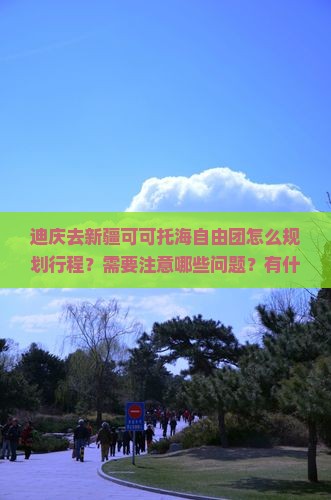 迪庆去新疆可可托海自由团 迪庆去新疆可可托海自由团