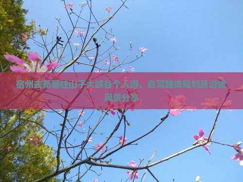 宿州去新疆独山子大峡谷个人游