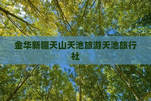 金华去新疆天山天池旅行社