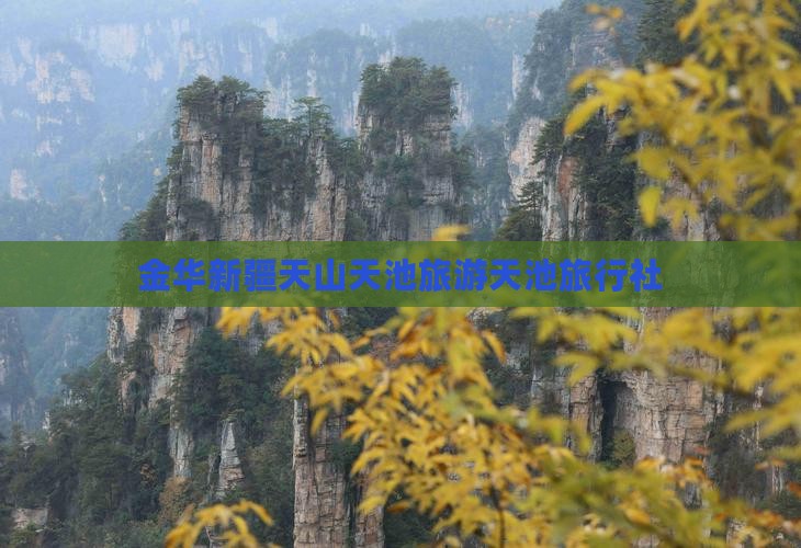 金华去新疆天山天池旅行社