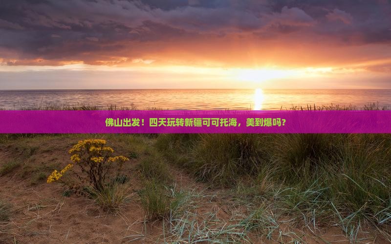 佛山到新疆可可托海四日游