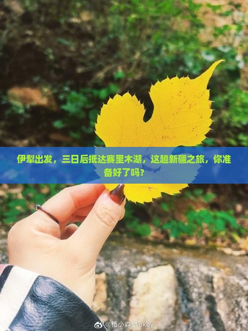 伊犁去新疆赛里木湖三日游