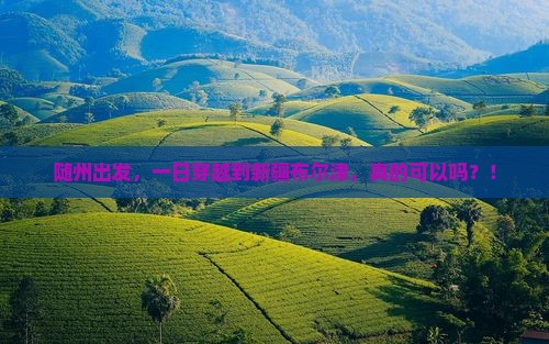 随州到新疆布尔津一日
