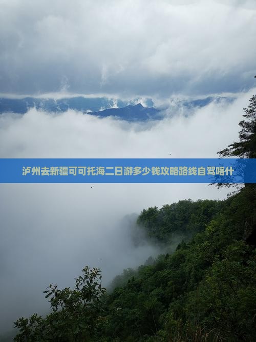 泸州去新疆可可托海二日游
