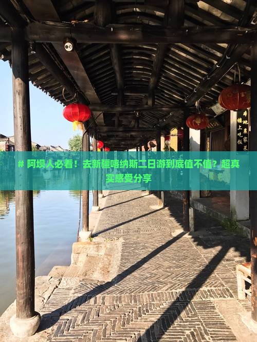 阿坝去新疆喀纳斯二日游
