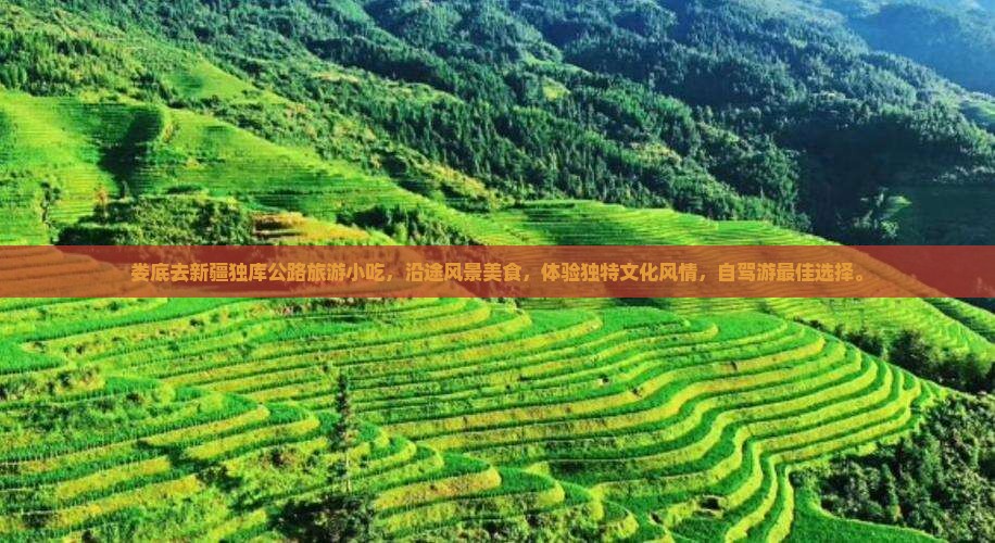 娄底去新疆独库公路旅游小吃