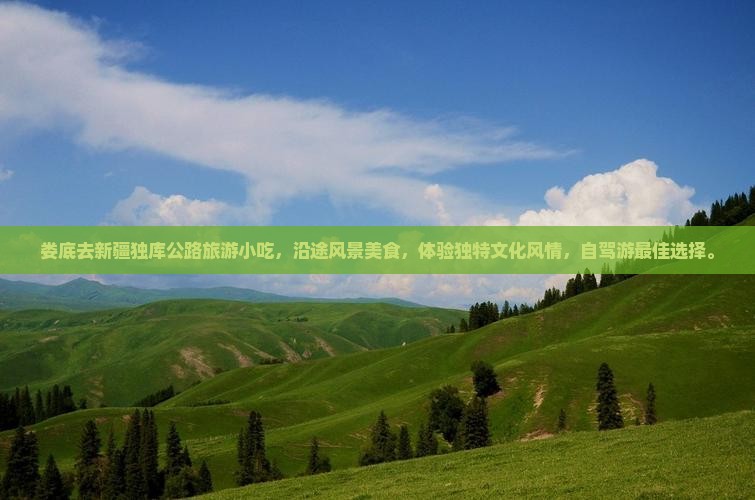 娄底去新疆独库公路旅游小吃