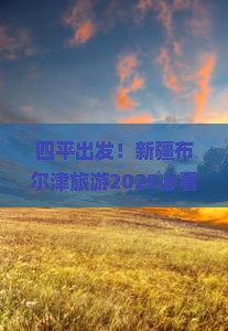 四平去新疆布尔津旅游