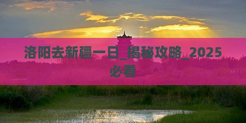 洛阳去新疆一日