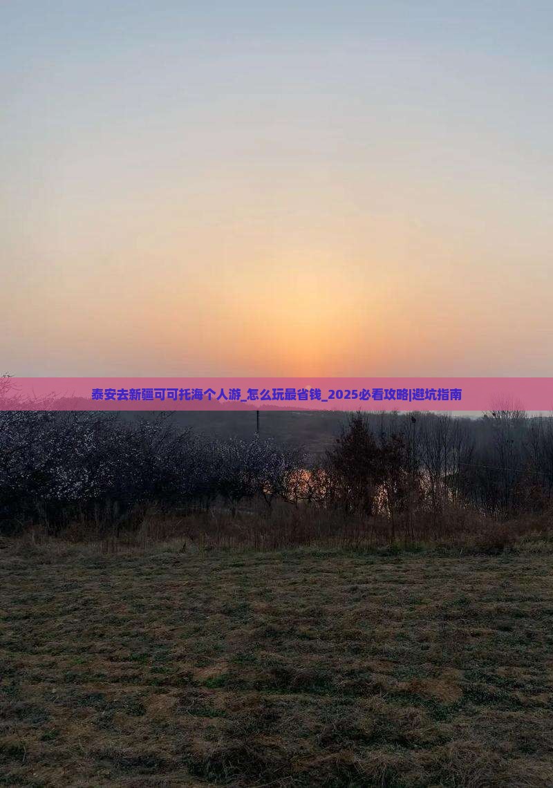 泰安去新疆可可托海个人游
