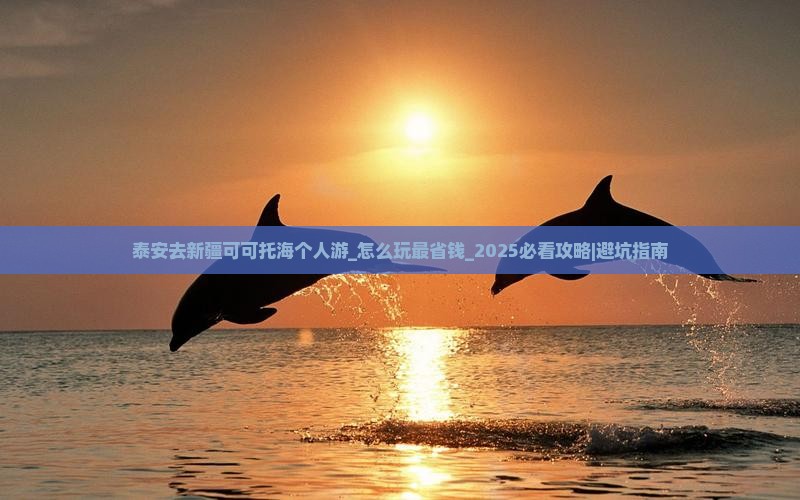 泰安去新疆可可托海个人游